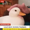 1748421049453.png