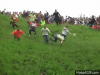 IMG_4617.gif