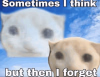 1748477177540.png