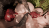 Power-Leveling-1.gif