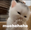 1748619640407.png