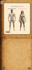 Screenshot 2025-05-31 at 12.49.00.png Screenshot 2025-05-31 at 12.49.00.png