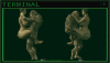 test3gd.gif