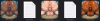 2.PNG