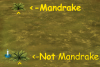 1748804411639.png