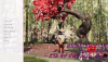 NewBeginningsInJapan-0.6.8-pc.png