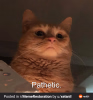 1748924667838.png