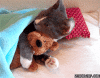 kittyhug.gif