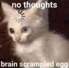 1722072631329.png