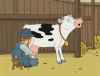familyguycow.png