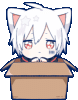 1749028187432.gif