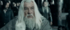1617998434_1612070887_Gandalf the wtf.gif