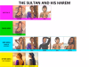 the-sultan-and-his-harem.png