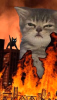 1749128501907.png