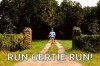 forrest-gump-run.gif