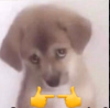 1000152170.png