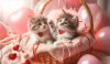 Kittens 3.jpg