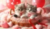 Kittens 4.jpg