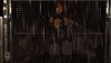 Don't Turn Around.png