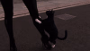 SPOILER_30se009.png