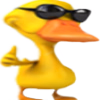 duck_okay-1.png