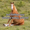 1749314550086.png