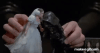 Dolls (2).gif