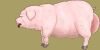Pig_Idle.gif