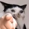 963a23f0c8fd6ae7f9b23b892b6d9f1e.jpg