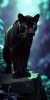 freepik__the-style-is-dark-and-mysterious-inspired-by-neoex__30965.jpg