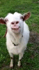 QTm.gif