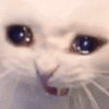 1749534259566.png