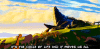 lion-king-circle-of-life-307428635.gif