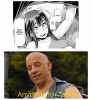 1017.jpg