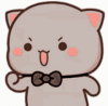nyawawaw.gif