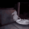 1000007549.gif