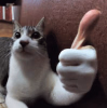 1749584244024.png