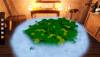 Image Sequence_182_0000.png
