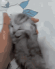 1749664005358.gif