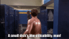 sd.gif