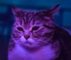 GtNdUi3XkAABTb_.png