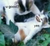 aomzm7Pz_700w_0.jpg
