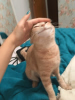 1749853396211.png
