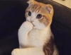 1749868731112.png