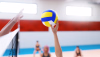 d2_volleyball_22.png d2_volleyball_22.png