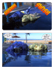 Page_5.png