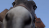 Screenshot (8).png