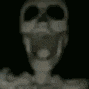 tenor.gif