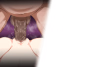 pis01.png
