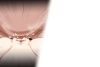 pis05.png